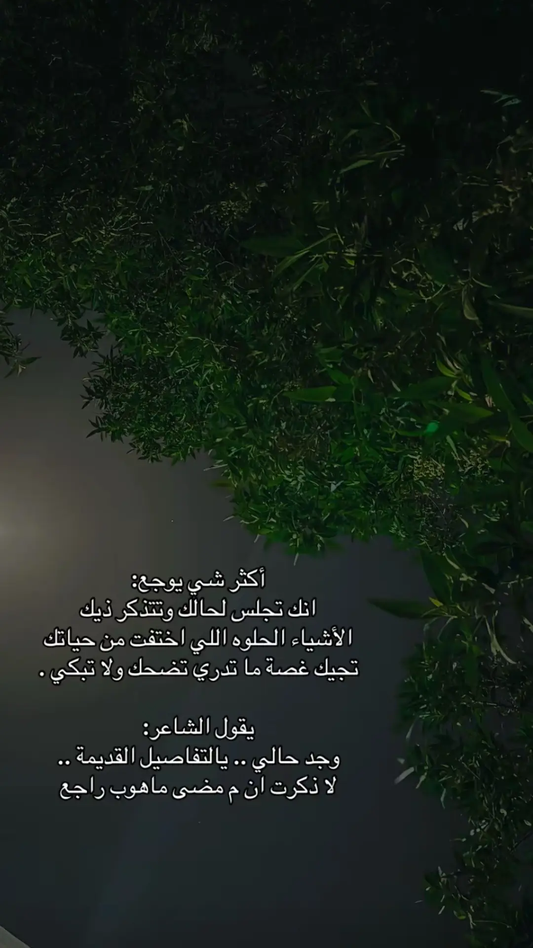 #يارب #اكسبلور_تيك_توك #capcut #explore #اكسبلور 