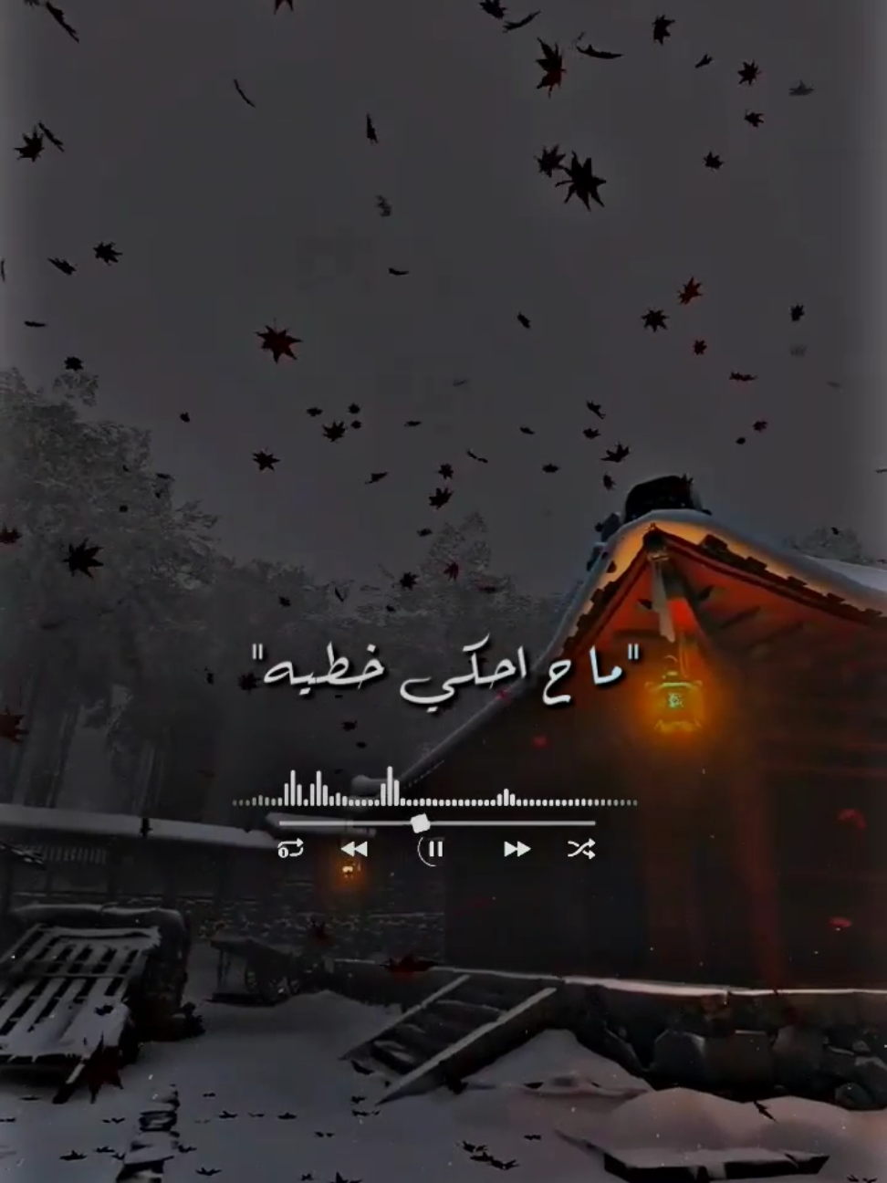 ما ح احكي خطيه #حالات_واتس #تيم_التيكتوكر_🔱🖤 #youssef_istory #الشعب_الصيني_ماله_حل😂😂 #foryou 