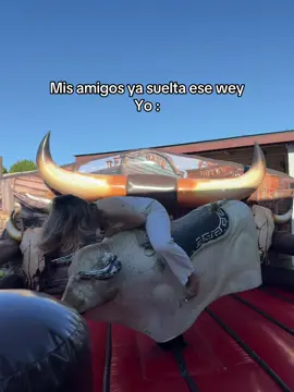 Como así pues? #toro #fyp #parati 