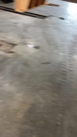 Pitter patter lets get at er #fyp #fyp #fyp 