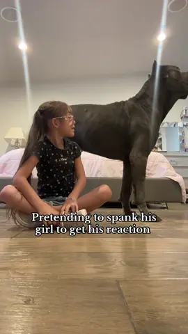 The way he did just enough to let me know it’s on site if I actually hit her 😆 #fyp #canecorso #dog #family #dogsoftiktok 