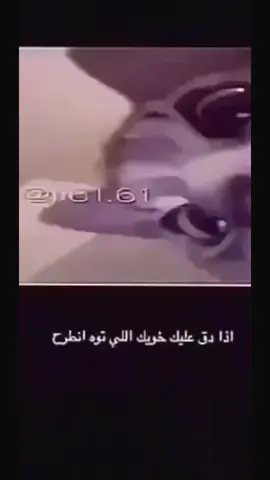 #هاشتاق 