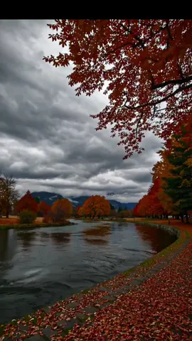 A breathtaking cinematic view of a vibrant fall park by the riverside 🍂 — tiny bright orange and red leaves, a calm reflective river, and towering misty mountains in the background under a deeply gloomy gray sky. 🌧️ The perfect blend of autumn beauty and melancholic serenity, capturing the stillness of nature on a cold fall day.  #rainynight #rainvideos #rainyvibes #rainaesthetic #rainydayvibes 
