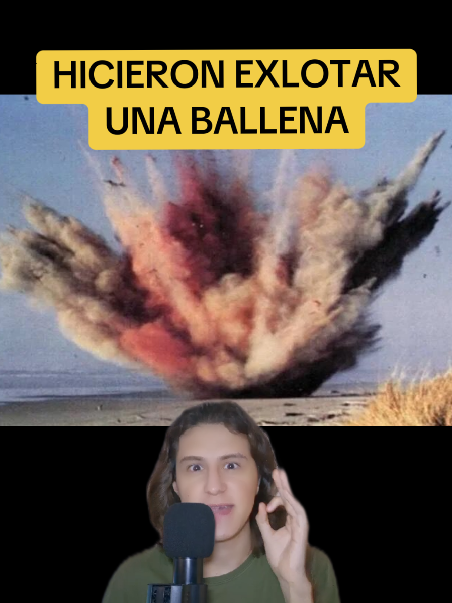 HICIERON EXPLOTAR A UNA BALLENA (Caso Real) #historia #cursed #creepy #mar #playa 