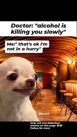 🤣😂 Follow this page for more evil and funny memes  and join a future global meme empire. If I disappoint, unfollow later. ♥️😈 Evil Dog Merch in Bio! Want something custom? We’ll make it for you instantly! 🐶 #drink #diabolical #evildog #chihuahua #memes 