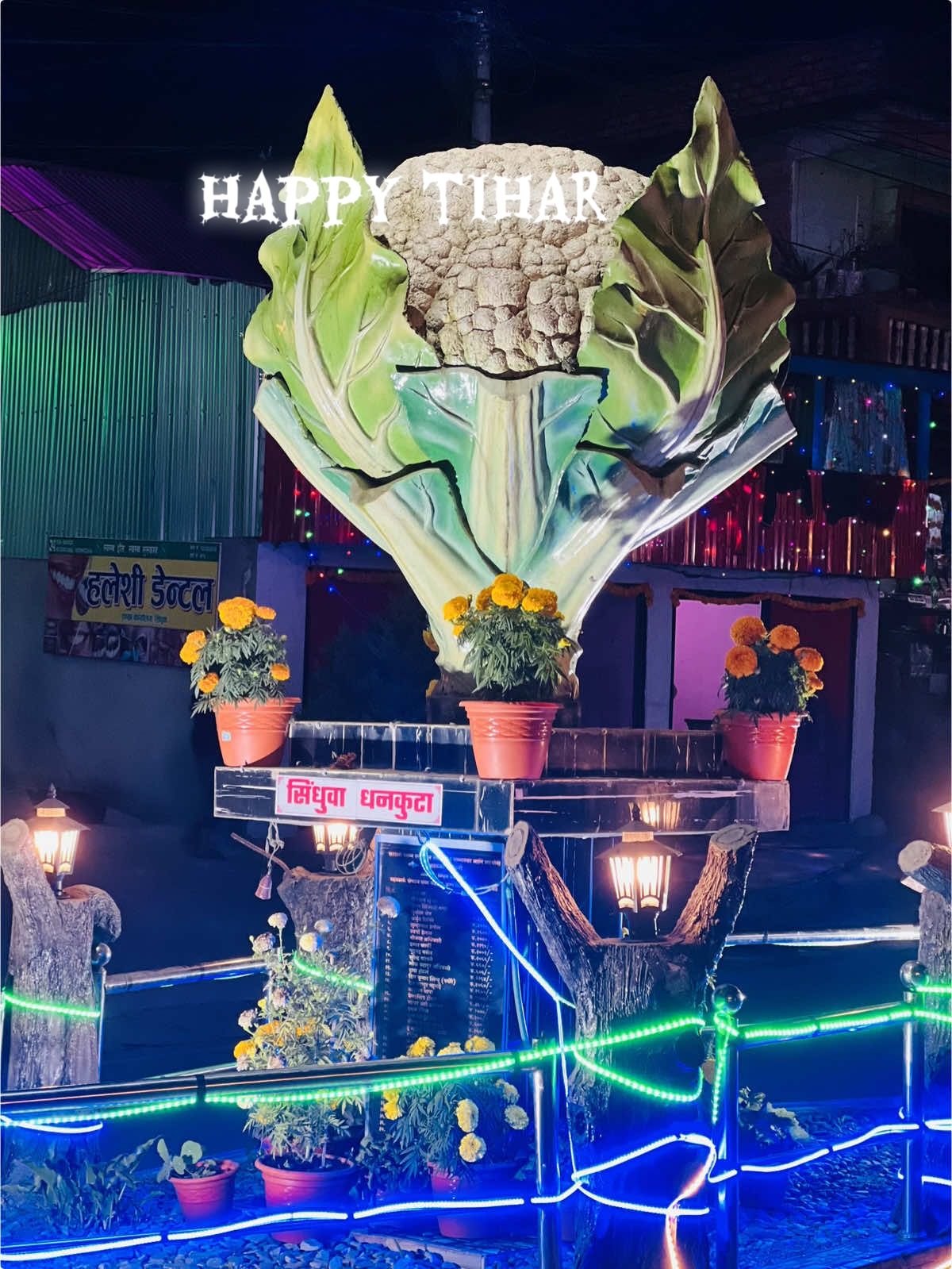 #tihar #dance #fypgoviral sindhuwa 