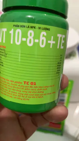 Mọi người cần vào tham khảo #TikTokAwardsVN #thevampirediaries #xuhuong #tiktok #at 