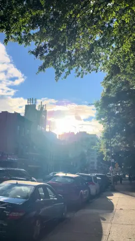 🎶🥀🎶