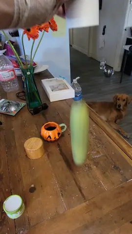 the sound!! 😆🤢 #pickle #squishypickle #gross #funny #lmao 