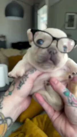 Cuéntanos que paso bro #gmail #pibble #thepibblepost 