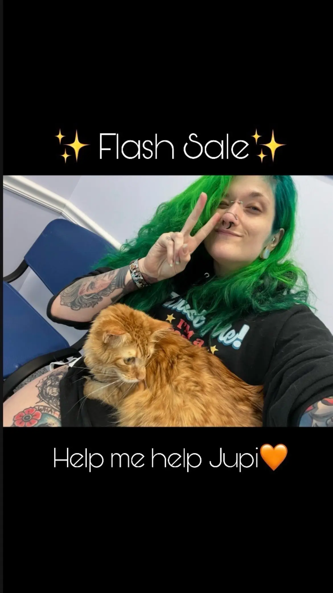 As some of you may not know, my little girl Jupiter has fallen sick the beginning of the month. We are still unsure as to what exactly she has, but she’s suspected to have FIP. She’s gone through many tests, and recently had to undergo two blood transfusions. With the current medication she’s on, she’s slowly improving but currently we’re still playing a waiting game. I’m doing a flash deal on my cat pieces I’ve designed over the years to continue to help Jupi🧡 I’ll be adding more to the deal here soon, but I wanted to post what I have! Jupi and our family appreciate the love and support we’ve already been given 💚 Fill out a booking form for any information about the deal! https://radinkflorida.com/booking/?fbclid=PAQ0xDSwL-YYJleHRuA2FlbQIxMAABp85nDgInLQ9hLQLgmzgmndLSn5Q3HZ21_Hbsn5HFEsG9HNpK2cnaUJJavcIq_aem_Fh_yyBTbk6aAHEazNdkhIg 