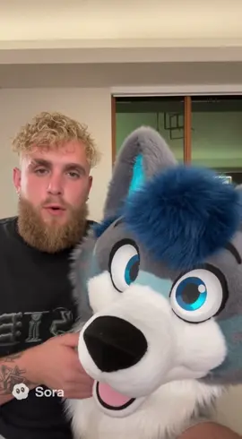 Jake Paul is a furry!!! #soraai #jakepaul #ai #isthisreal #freeai 