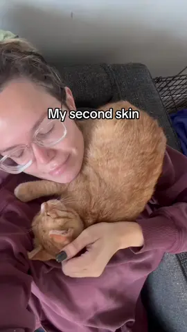 Another man’s trash sure is another man’s treasure, i couldn’t imagine a life without my sweet rescue baby 🤍 #rescuecat #adoptdontshop #orangecatsoftiktok 