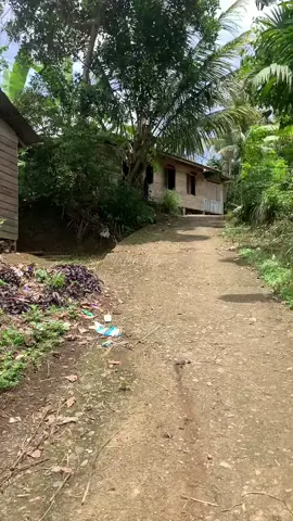 Desa: Gunung Maria, Kec: Dolok, Kab: Padang Lawas Utara, Prov: Sumatra Utara. #wakngeng #blog #desa #huta #kampung #gunungmaria #dolok #paluta #fyp #tiktokviral