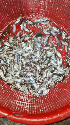 #xunhuongtiktok ăn sáng nhoa