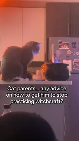 Love that he has hobbies but it’s getting excessive #cattok 