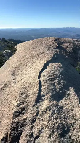 #potatochiprock #fyp 