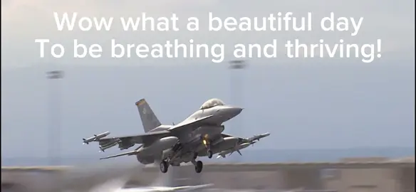 Alaska shenanigans.##fyp##fypシ゚viral##viral##fighterjet##meme