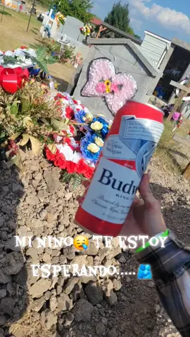 te espero mi nino....😪#cemetery #grief #nephew #viral #foryoupage 
