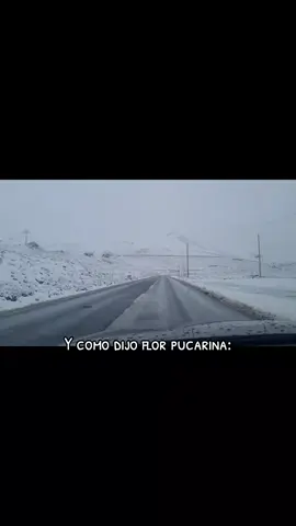 La gran flor pucarina 😅😊 #huayno #huancayo #peru