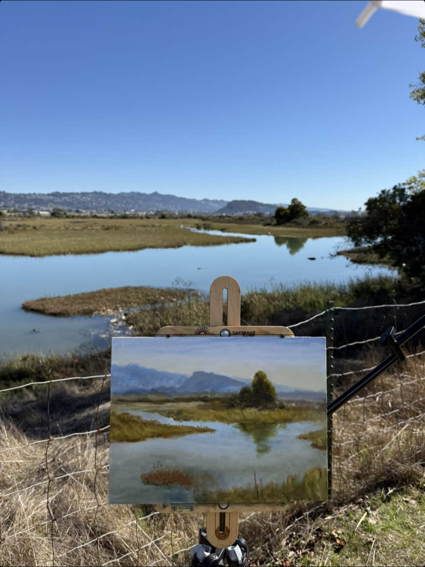 Birds roam free, painters busy. Sunshine bright, colors dancing. How can we not enjoy the beauty all around us? #pleinairartist #landscapeoilpaintings #naturesbeauty