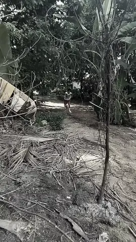 hindi kayang tumbasan pa kamo? HAHAH 