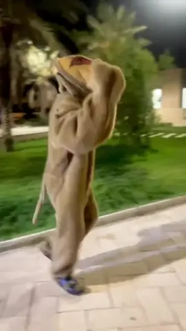 زهۆر بێزارم 💔 #CapCut #acc #foryoupage #شێرەکەیبازیان #شێر 