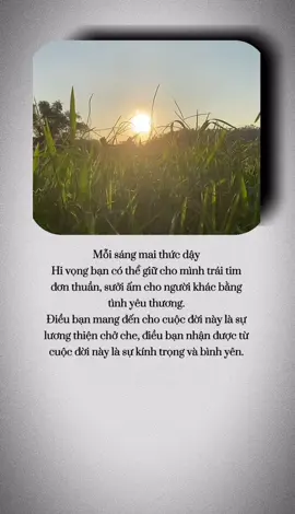 Mỗi sáng mai thức dậy  Hi vọng bạn có thể giữ cho mình trái tim  đơn thuần, sưởi ấm cho người khác bằng  tình yêu thương.  Điều bạn mang đến cho cuộc đời này là sự  lương thiện chở che, điều bạn nhận được từ  cuộc đời này là sự kính trọng và bình yên.  Ngày mới, nguyện tất cả mọi người luôn được khoẻ và an 