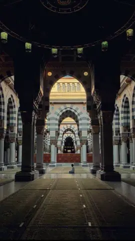 #المسجد_النبوي #متطوعة_المدينة #المدينة_المنورة_الآن #اللهم_صلي_على_نبينا_محمد #جديد_المدينة 