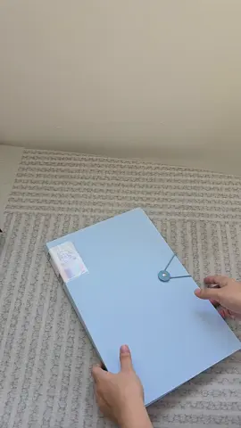 File organizer #fileorganizer #documentsorganizer #clearbookorganizer 