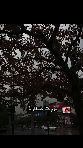 يوم كنا صغار في ربوع الدار #بدون_موسيقي #السعودية #اليمن #شيلات #نادر_الشراري 
