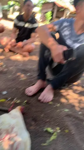 thua kệ bụng phải no nha ae😁 #tôiyeudongvat #xh 