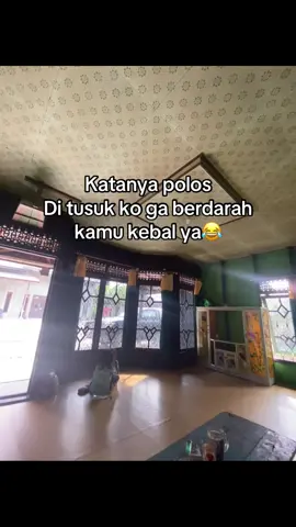 Sekedar ikut tren🤣#fyppppppppp #katakata #lewatberandamu #foryoupage #fyppppp 