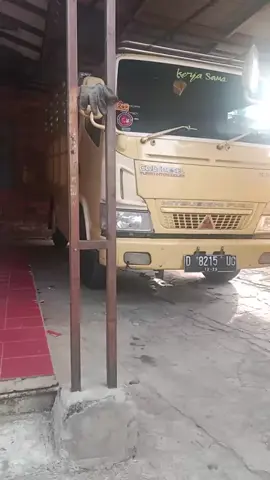 #bismillah ... semoga hr ini lebih baik dr kemarin🤲🏻