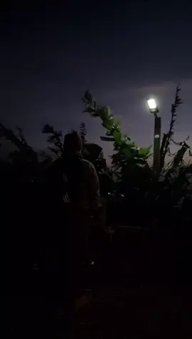 ลมหนาวมาแล้วน่ะที่ภูทับเบิก⛰️⛰️⛄️⛄️#การเดินทาง #คาเฟ่ภูทับเบิก#หน้าหนาวปีนี้ #tiktokพากินพาเที่ยว #ธรรมชาติบําบัด 