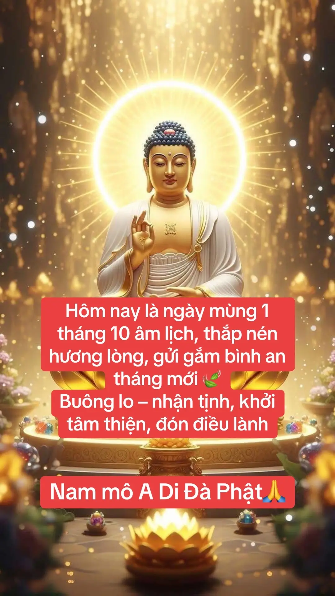 ⭐Mùng 1 đầu tháng là ngày khởi đầu cho một chu kỳ mới – thời khắc để con người quay về với chính mình, gieo hạt thiện lành cho tháng mới bình an.  ✅Hôm nay ta nên giữ tâm thanh tịnh, nói lời ái ngữ, tránh sân si và khởi niệm từ bi. Có thể ăn chay, tụng kinh, niệm Phật, phóng sinh hoặc giúp đỡ người khác – dù nhỏ cũng là gieo phước.  ✅Mỗi việc thiện, mỗi ý nghĩ lành đều là một bông hoa nở trong tâm, giúp nghiệp nhẹ, lòng an, đời sáng.  ✅Đừng quên buông bỏ những điều cũ, tha thứ cho mình và người, để khởi đầu tháng mới trong an vui và tươi sáng. Nguyện đem công đức lành này, tiêu trừ nghiệp chướng xưa nay, thân tâm thanh tịnh, gia đạo an hòa, muôn sự cát tường như ý. 🙏 #nhuycattuong  #genzlife  #tutaptinhtan🙏🏻 #nammoadidaphat #giadinhducphuoc       
