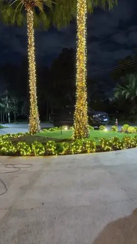 lindo🎅🎄#carlinhosmaiaof 