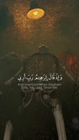 واذ قال ابراهيم ربي ارني كيف تحى الموتى سورة البقرة القارى عبد الله أحمد #سورة_البقرة #قرٱن_كريم #تلاوة_خاشعة #قران 