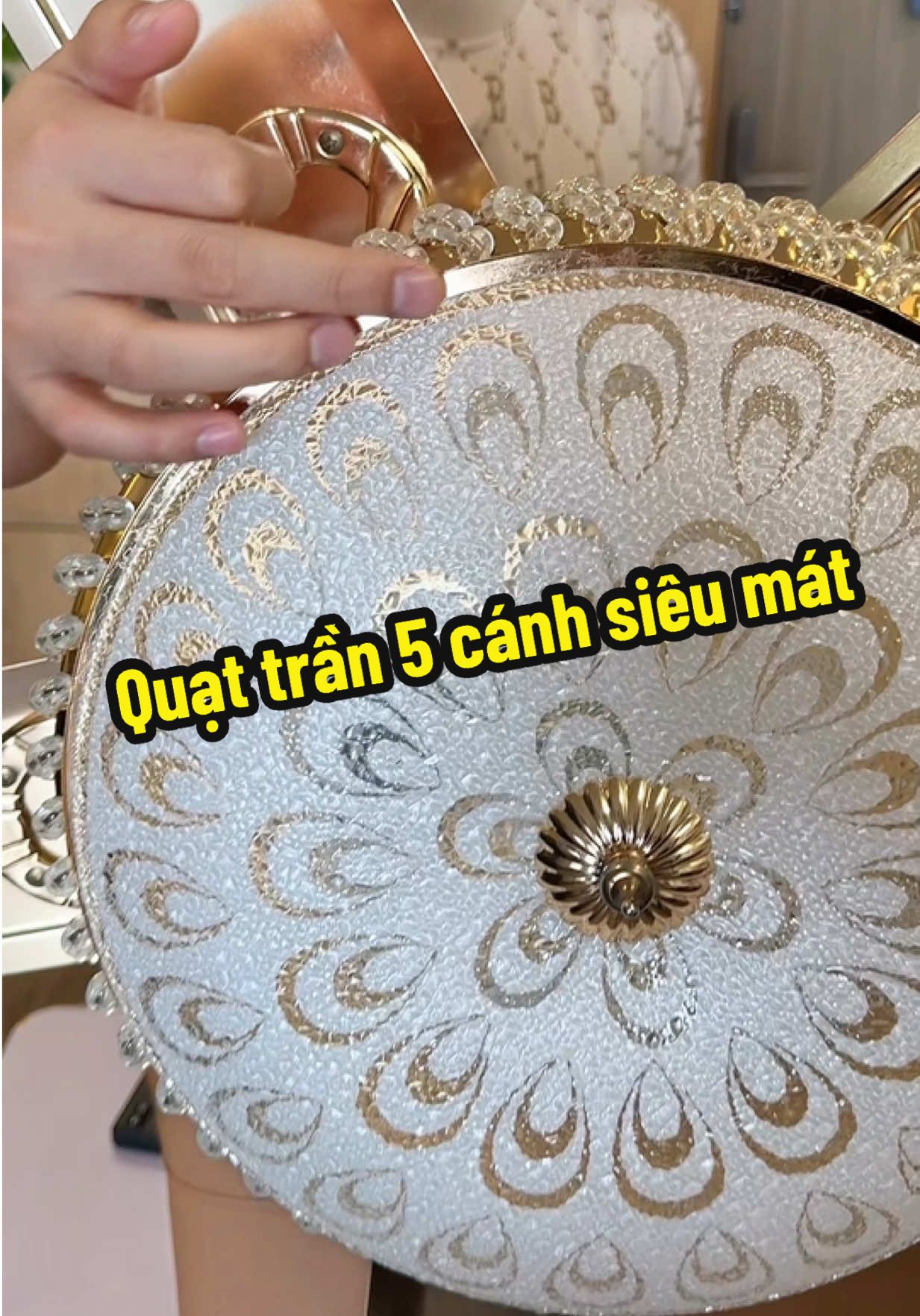 Quạt trần 5 cánh thép không gỉ kết hợp động cơ đồng #quat #quattran #quattranden #xuhuong #nhanuytin88 