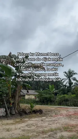 Aku mlayune  lumayan banter og massssss #fyp #foryou #foryoupage 