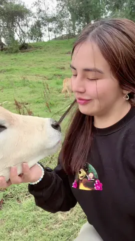 Alguien se a obsesionado conmigo🐮💚 #perú #cajamarca_perú🇵🇪 #fyp 