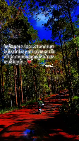 នៅតែនឹក 💔😰#តិកតុកអត់ល្បី #ស្នេហាមិនគួរជាអទិភាព #ស្នេហាខ្ញុំ #សេដខ្លាំងណាស់💔😭😭😭😭😭 #tiktok #សេដ 