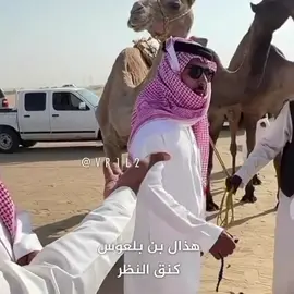 #meme #memes #ابن_بلعوس #ترند 