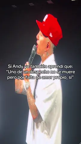 Sus canciones son mi curita al ❤️‍🩹 @andyrivera_   #conciertoandyrivera #andyrivera #movistararena 