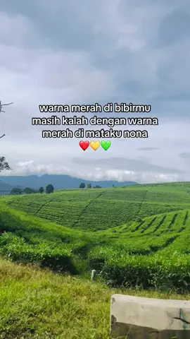 follow brayy #bobmarley #yoman #reggae #rastafari 