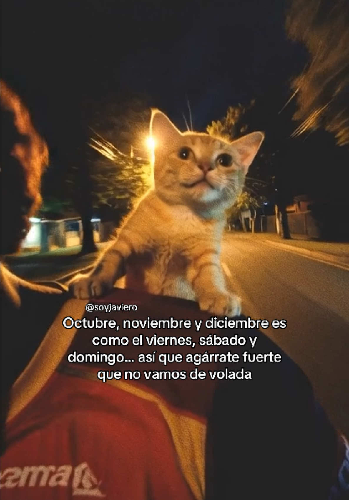 Vámonos! 