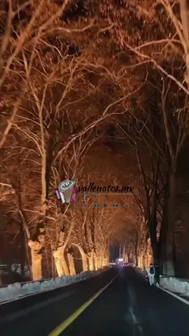 PERDÓNAME - LOS GIGANTES DEL VALLENATO  #music #vallenatos #viral #fouryou #vallenatos_mv 