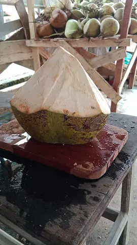 kelapa runcing yang nikmat💦 🌴🥥 follow terus akun ini banyak konten menarik lainnya😍 #coconutcuttingskills #youngcoconut #fruits #esdegantong #coconutwater 