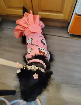 so cool #viral #myflow_goddess #Actress 