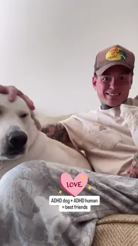 Johnathon & Riley = CUTENESS OVERLOAD 😍 🎥 via his IG  #johnathoncaine #weeniehutjr #oz  #dogsoftiktok #dogslife 